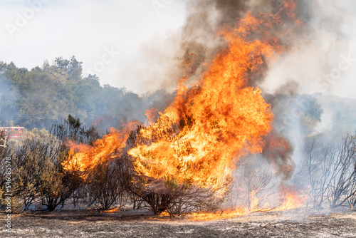 California Wildfire Flames 