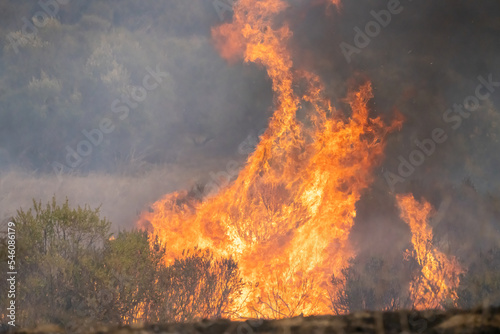 California Wildfire Flames 