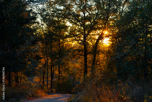 An autumn scene in nature reserve "Heumense Schans" in the town "Molenhoek" in the Province of Limburg in the Netherlands.