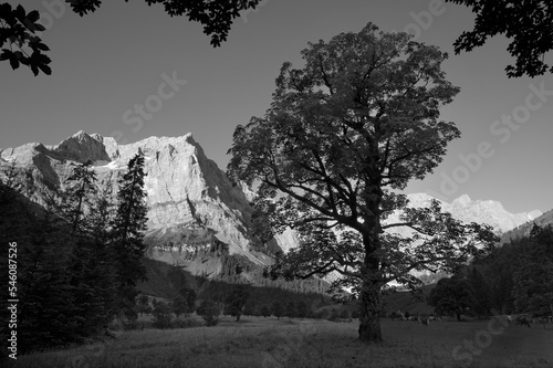 The morning walls of Karwendel mountains - walls of Spritzkar spitze and Grubenkar spitze from Enger tall  - Grosser Ahornboden walley. photo