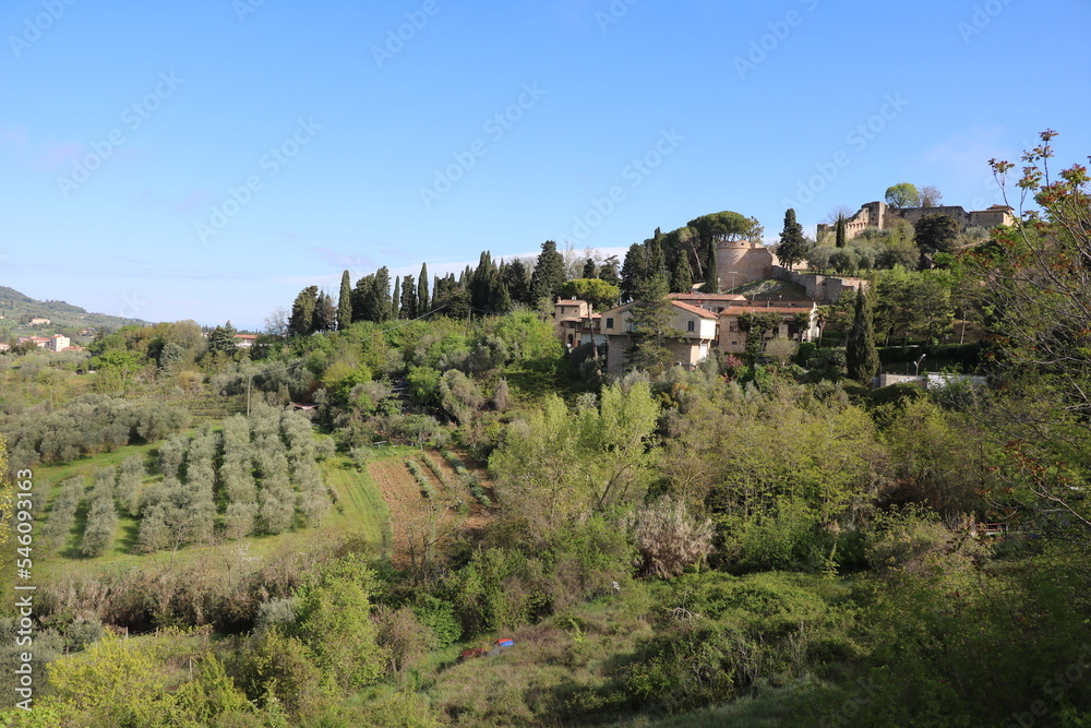 Landscape around San Gimignano in spring, Tuscany Italy