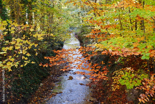 view from a bridge onto a shimmering blue stream that flows through a colorful autumn forest