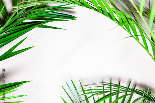Obraz na płótnie Palm leaves background w salonie