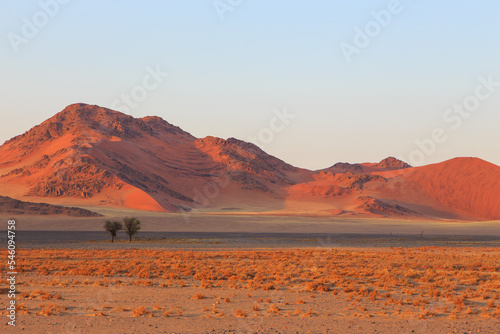 Dunes in the Namib-Naukluft National Park of Namibia.