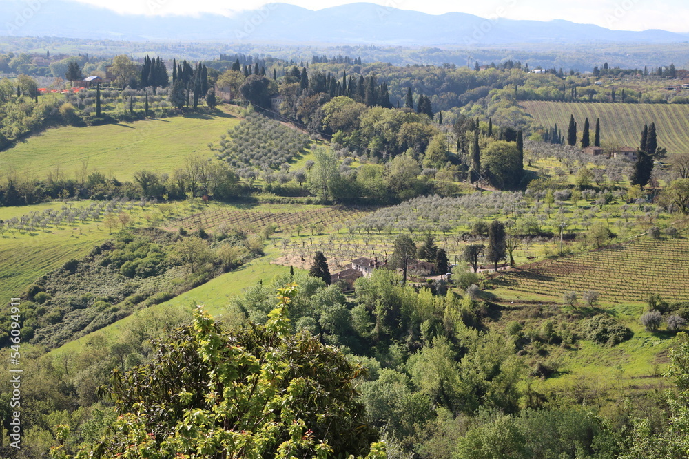 Fototapeta premium Landscape around San Gimignano in spring, Tuscany Italy