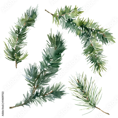 Watercolor Christmas set of fir branches. Hand painted holiday elements with winter plants isolated on white background. Floral illustration for design, print, fabric or background.