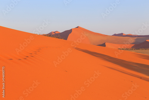 Dunes in the Namib-Naukluft National Park of Namibia.