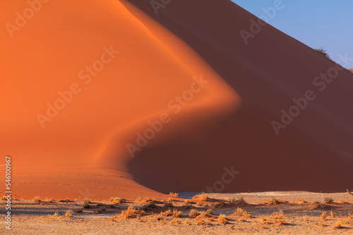 Dunes in the Namib-Naukluft National Park of Namibia.