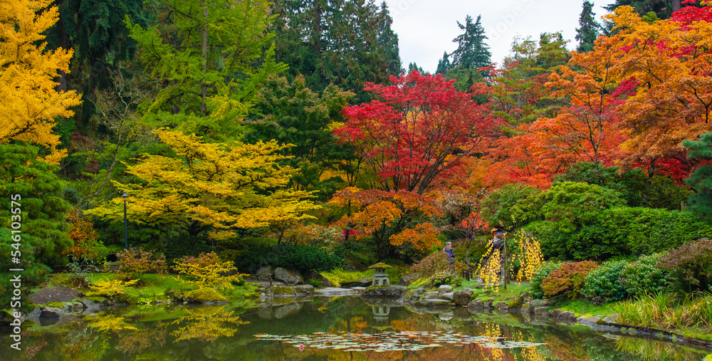 Washington Park Arboretum JApanese Garden, Seattle, Washington - obrazy, fototapety, plakaty 