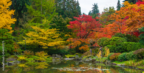 Washington Park Arboretum JApanese Garden, Seattle, Washington