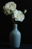 beautiful white roses in a light blue vase