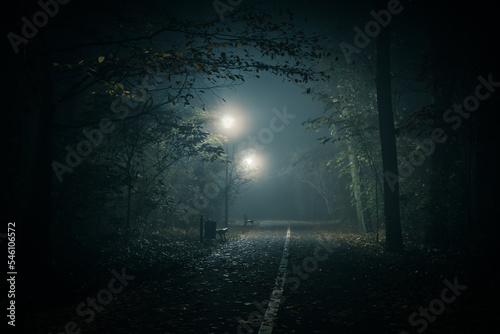 gęsta mgła na drodze w ciemnym parku nocą