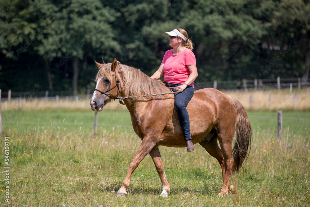 Reiterin mit Pferd