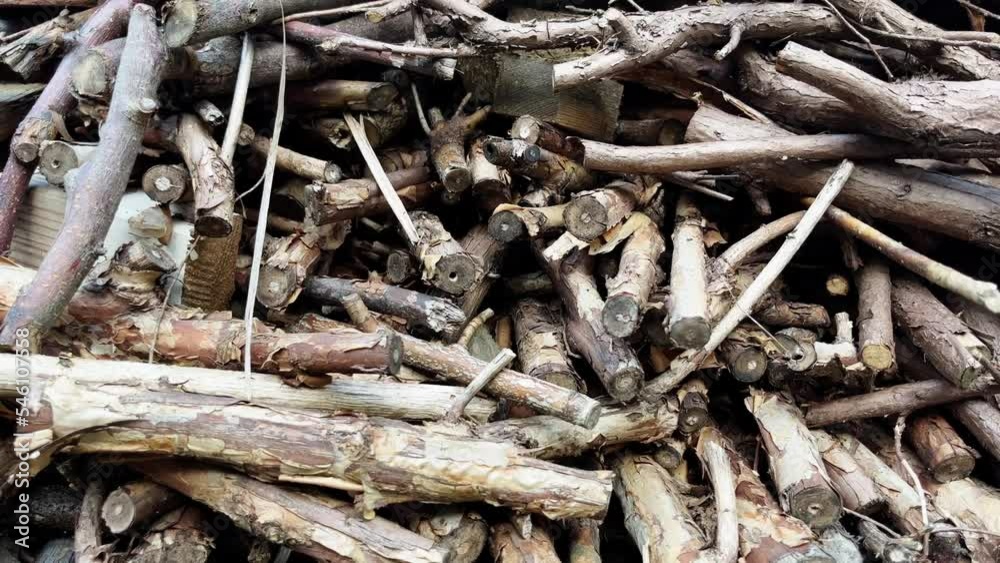 a small stockpile of small wood, preparations for winter and frost, a crisis in home heating caused by high raw material prices a small stockpile of small wood, preparations for winter and frost, a crisis in home heating caused by high raw material prices