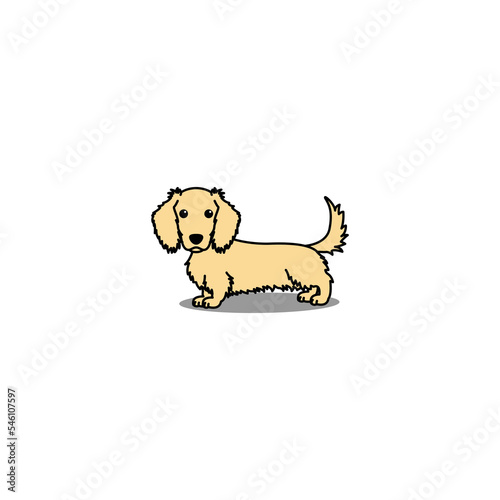 Cute long haired dachshund dog cream color cartoon, vector illustration
