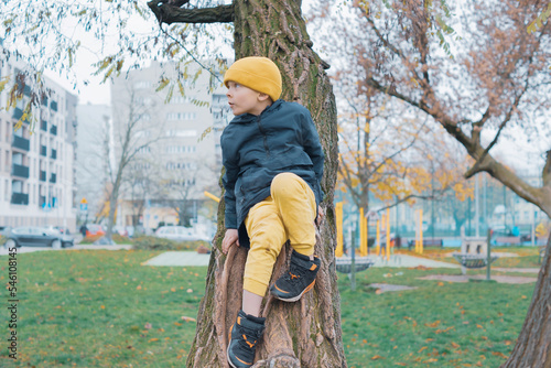 The boy climbed in and sat in a tree. In the background is a children's playground.