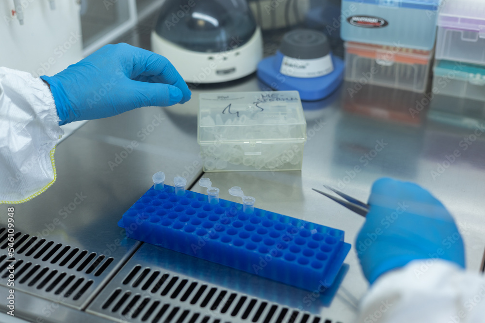 Naklejka premium Dłonie naukowca w rękawiczkach ochronnych w laboratorium