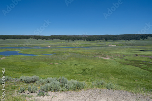 View of a very lush green Hayden Valley with the Yellowstone River in Yellowstone National Park USA