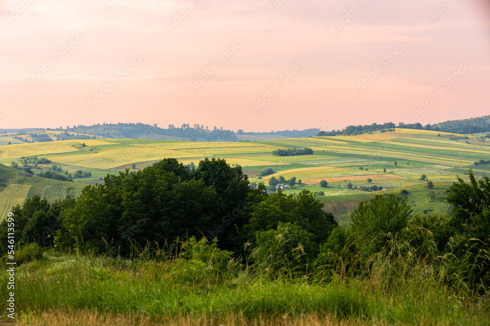 Obraz premium Green summer landscape in rural Romania