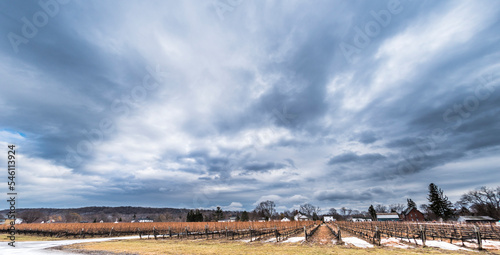 A dark dramatic sky over a vineyard on a late winters day in the Niagara region of Ontario Canada.