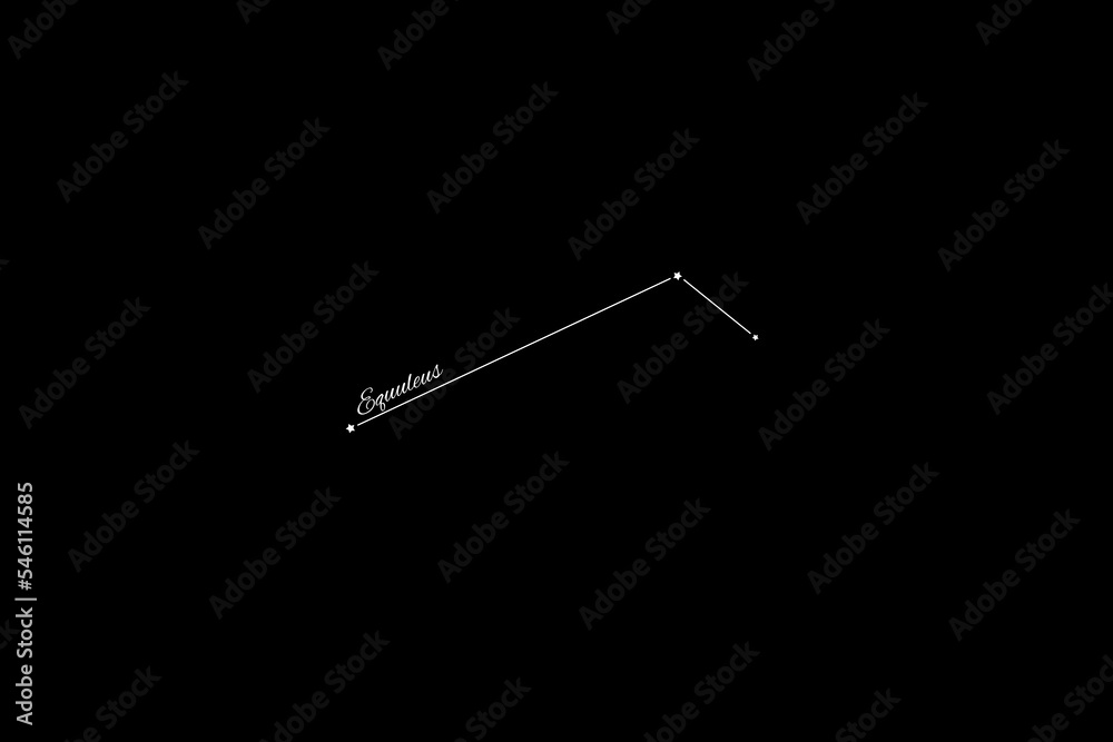 Equuleus constellation, Cluster of stars, Pony constellation, Little Horse Equuleus constellation, Cluster of stars, Pony constellation, Little Horse