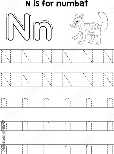 Numbat Animal Tracing Letter ABC Coloring Page N photo