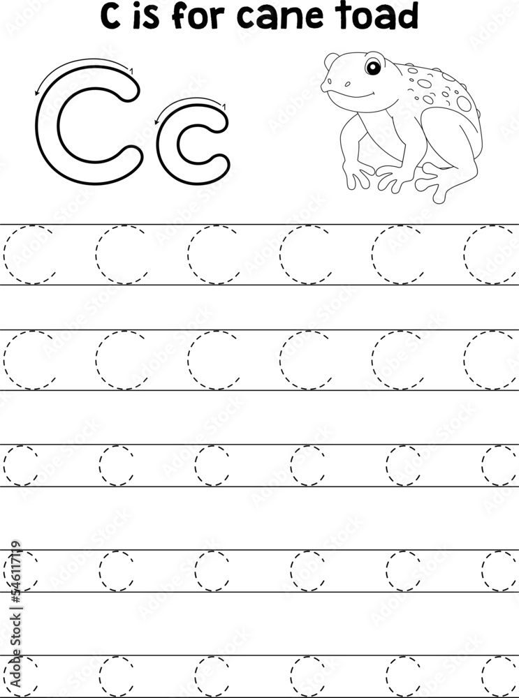 Cane Toad Animal Tracing Letter ABC Coloring C Stock Vector | Adobe Stock