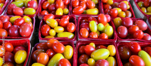Cherries tomatoes at the Jean-Talon Market is a farmer's market in Montreal. Located in the Little Italy district, the market is bordered by Jean-Talon Street 