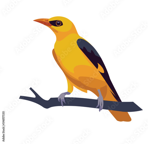 Figure of a sitting golden oriole bird standing on a branch and singing