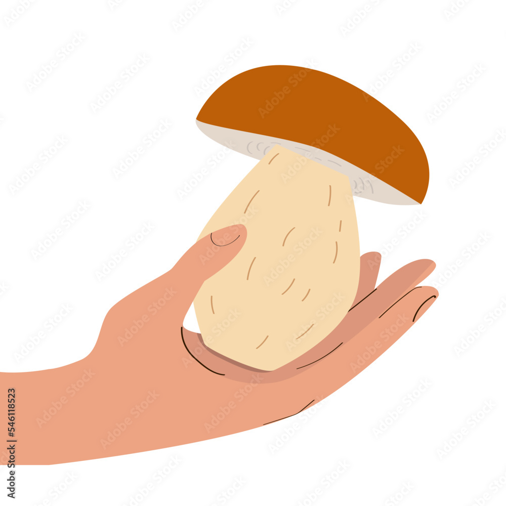 Obraz premium White mushroom in hand. Vector illustration in flat style. A beautiful and large porcini mushroom. Mushroom on a human palm. Autumn theme. Finding in the forest. Banner, print.