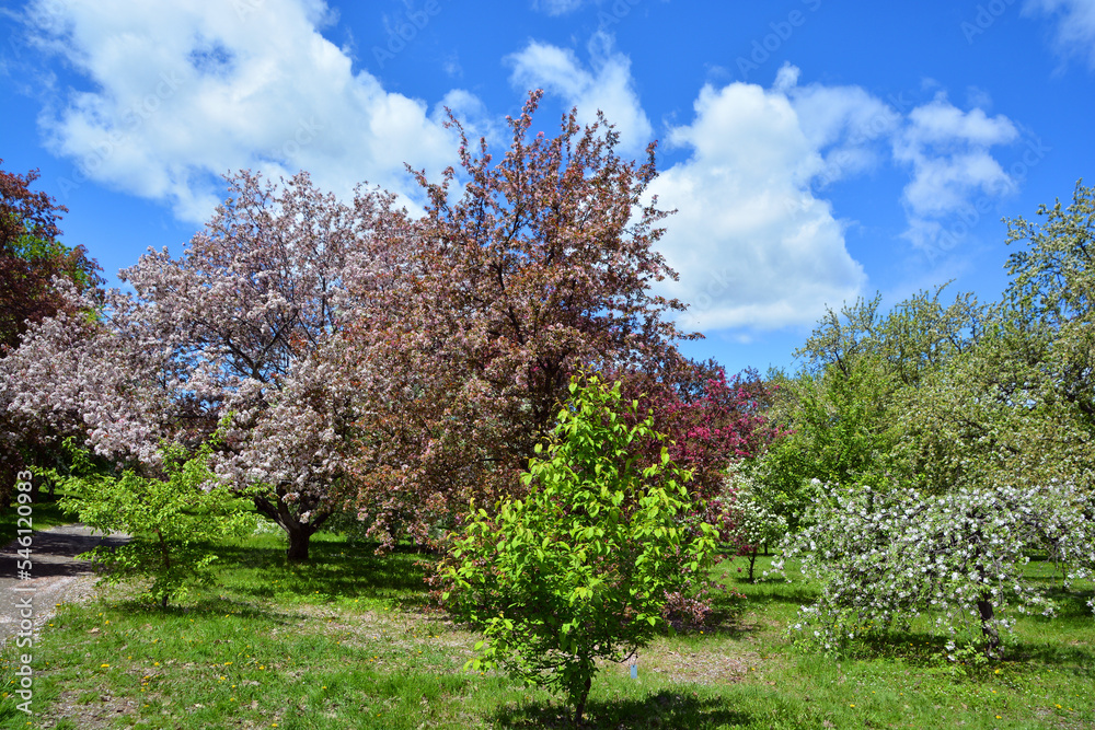 Spring landscape Montreal Quebec province Canada Spring landscape Montreal Quebec province Canada