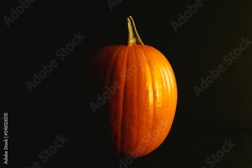 Pumpkin on black background 