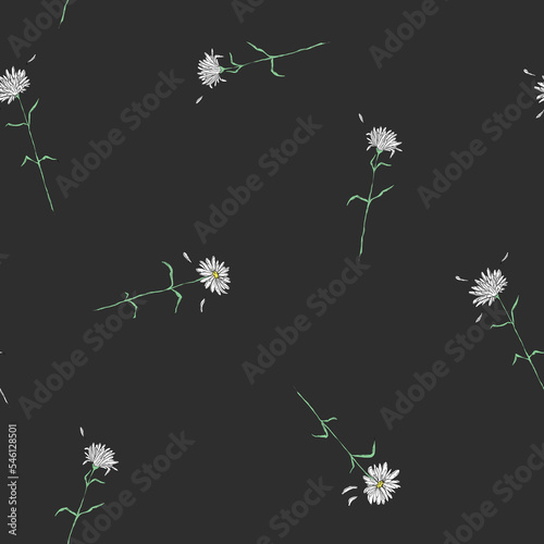 Little chamomile or daisy white flowers - seamless pattern on graphite gray background