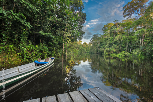 Low point of view on the Cuyabeno amazonian river with blue sky, reflection in the water, pontoon and canoe on the riverbank. In the Siona - Secoya language, Cuyabeno means "Kindness River"