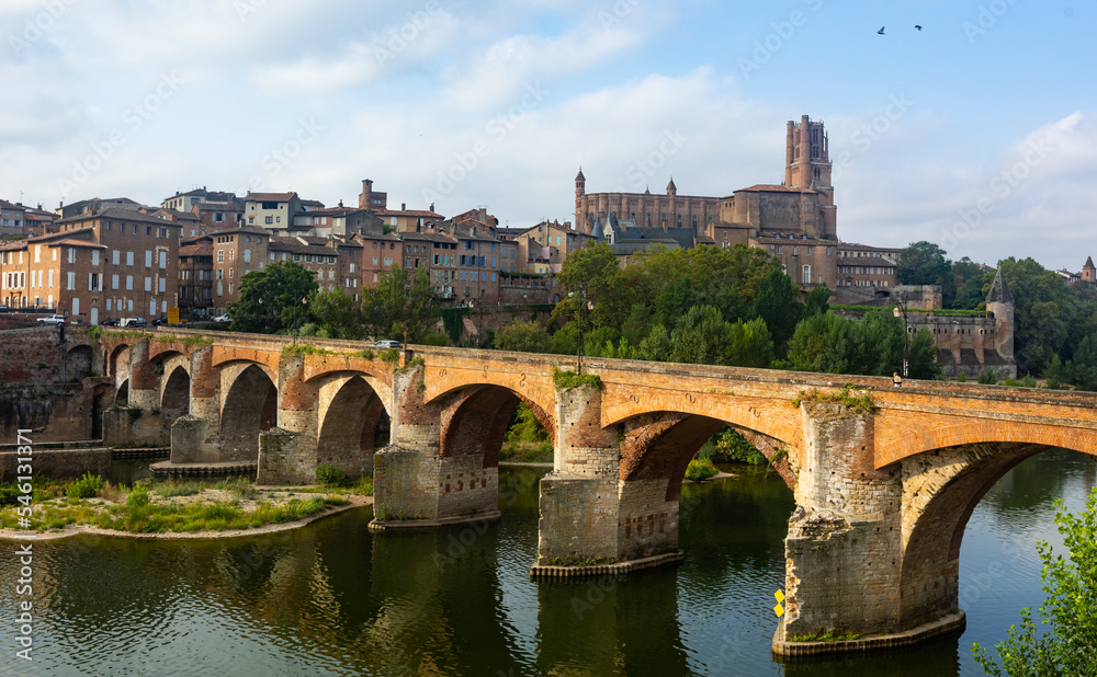 Townscape of Albi with view of Pont Vieux and Sainte-Cecile cathedral. Tarn department, southern France.