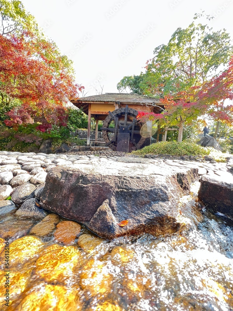 Obraz premium waterfall in autumn