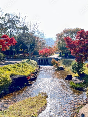 autumn in the garden