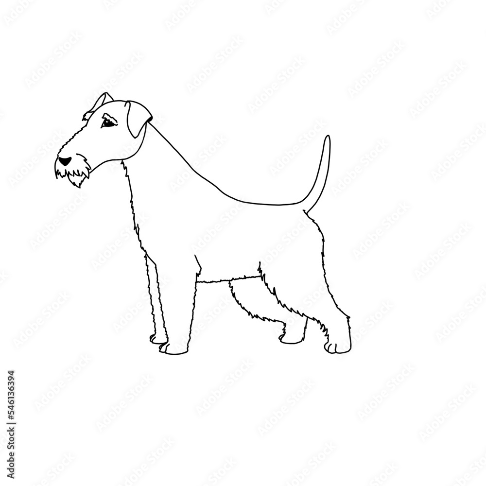 image of a dog