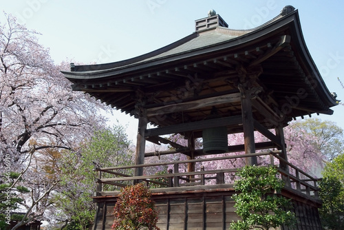 桜が満開の浄光寺の鐘楼／日本埼玉県東松山市 © yumiko