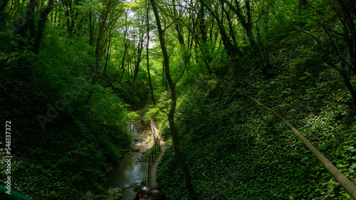 Forest waterfall in Sochi, Russia. Berendeyevo kingdom tourist trail.