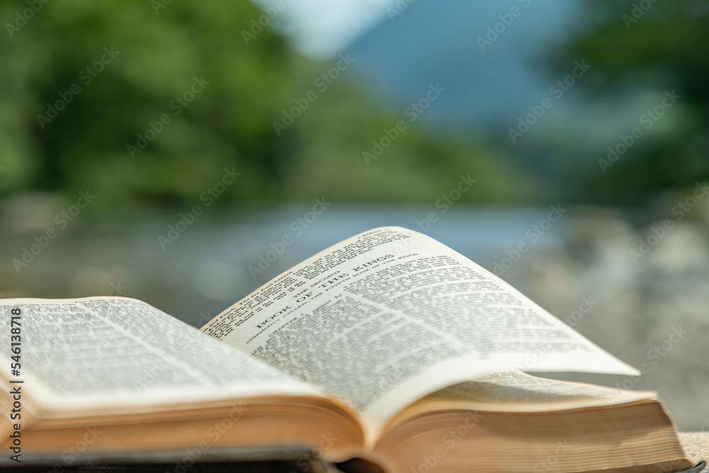 Fototapeta premium 読書
