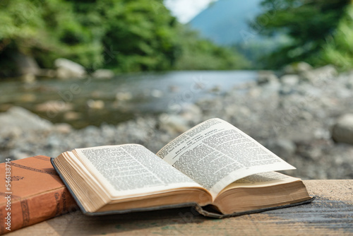 自然の中で読書