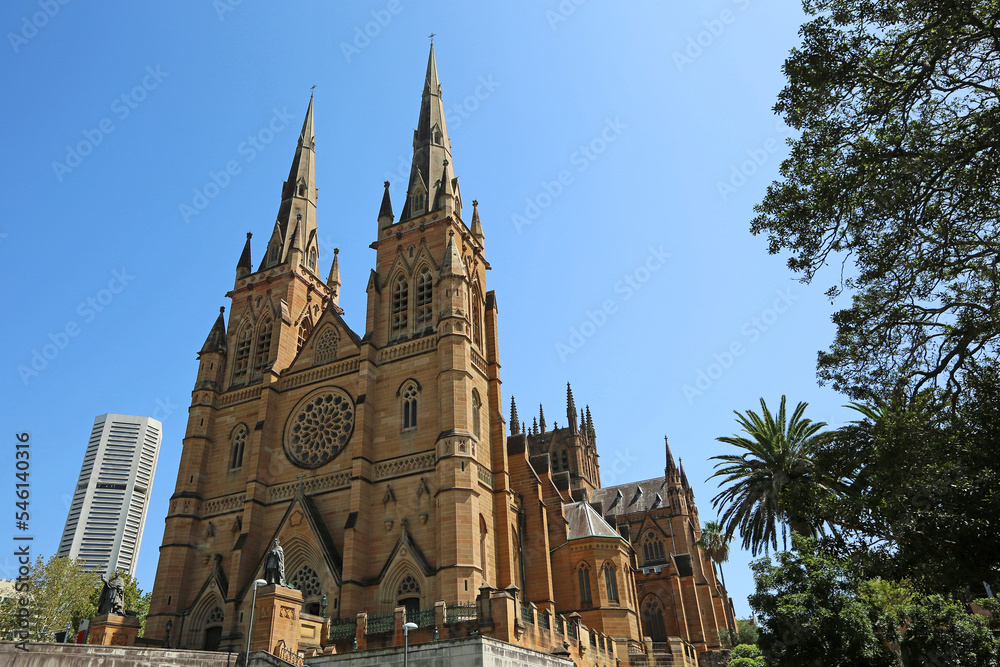 View at St Mary's Cathedral - Sydney, Australia