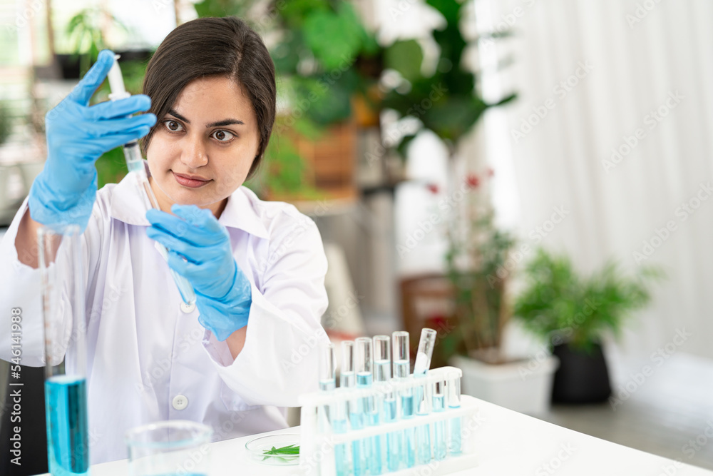 Fototapeta premium Doctor taking test tube with blue liquid, closeup. Laboratory analysis. Female science specialist laboratory working at lab to test tubes with blue liquid solution. Laboratory science concept.