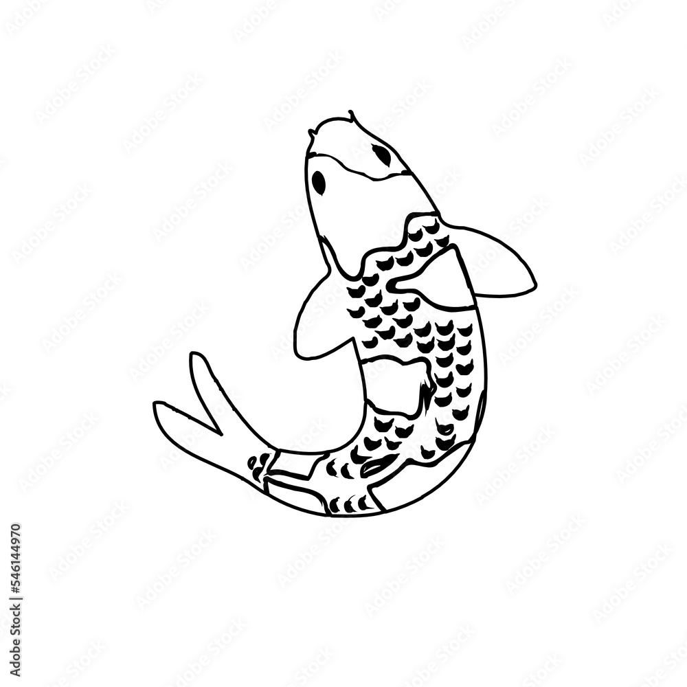 Koi fish black and white sketch design with a transparent background
