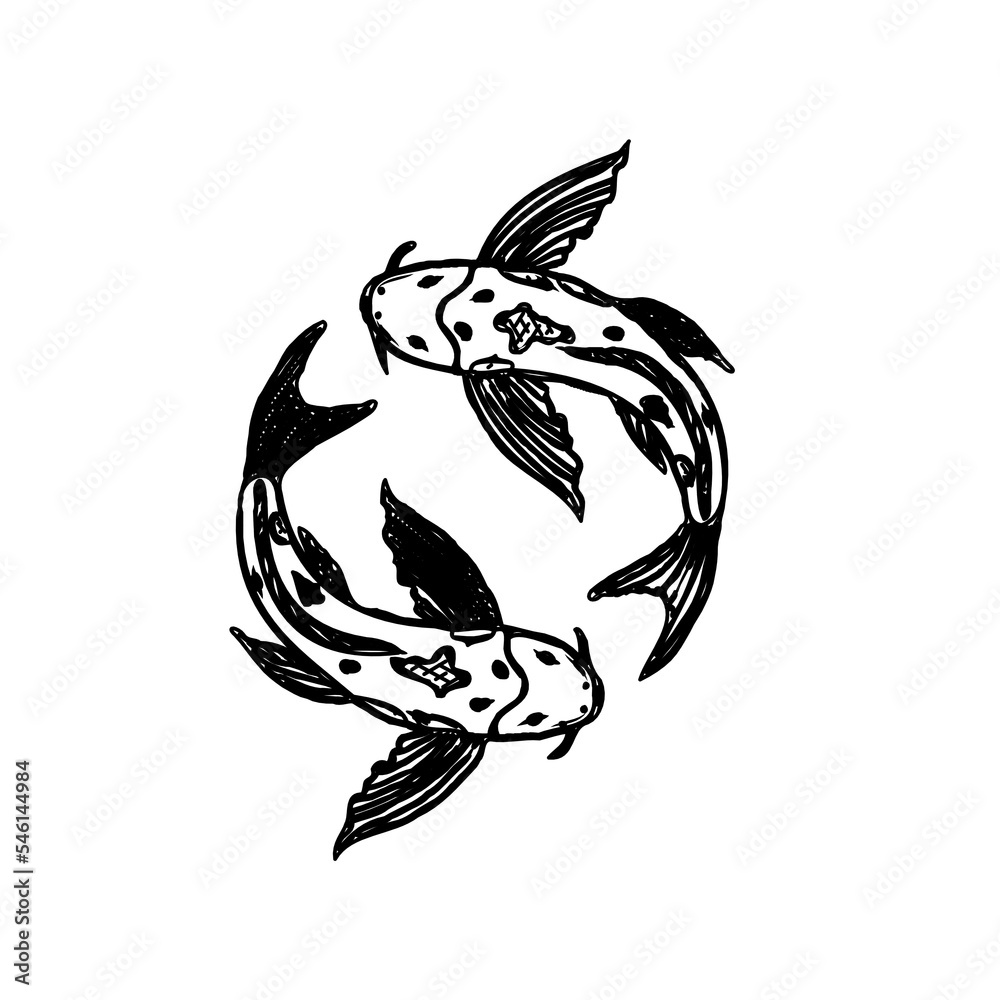 Koi fish black and white sketch design with a transparent background Koi fish black and white sketch design with a transparent background