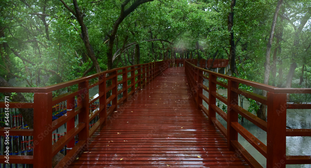 wooden bridge raining fog green trees
