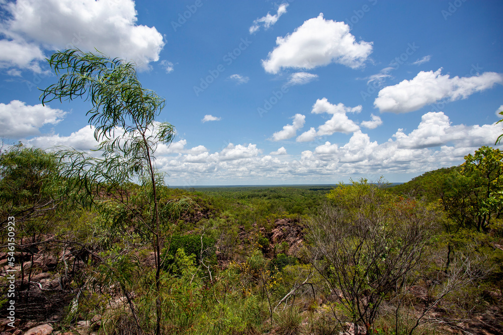 Tolmer Falls Monsoon Forest Tolmer Falls Monsoon Forest