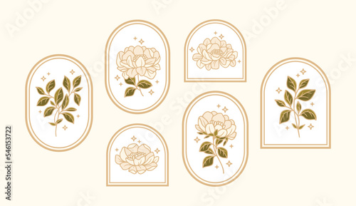 Set of hand drawn vintage retro botanical feminine peony flower, leaf branches, and frame line art logo elements