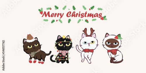 Merry Christmas with cute cat dress up collection. Cute cat character for christmas and new year. Graphic resource for graphic, content , banner, sticker label and greeting card.